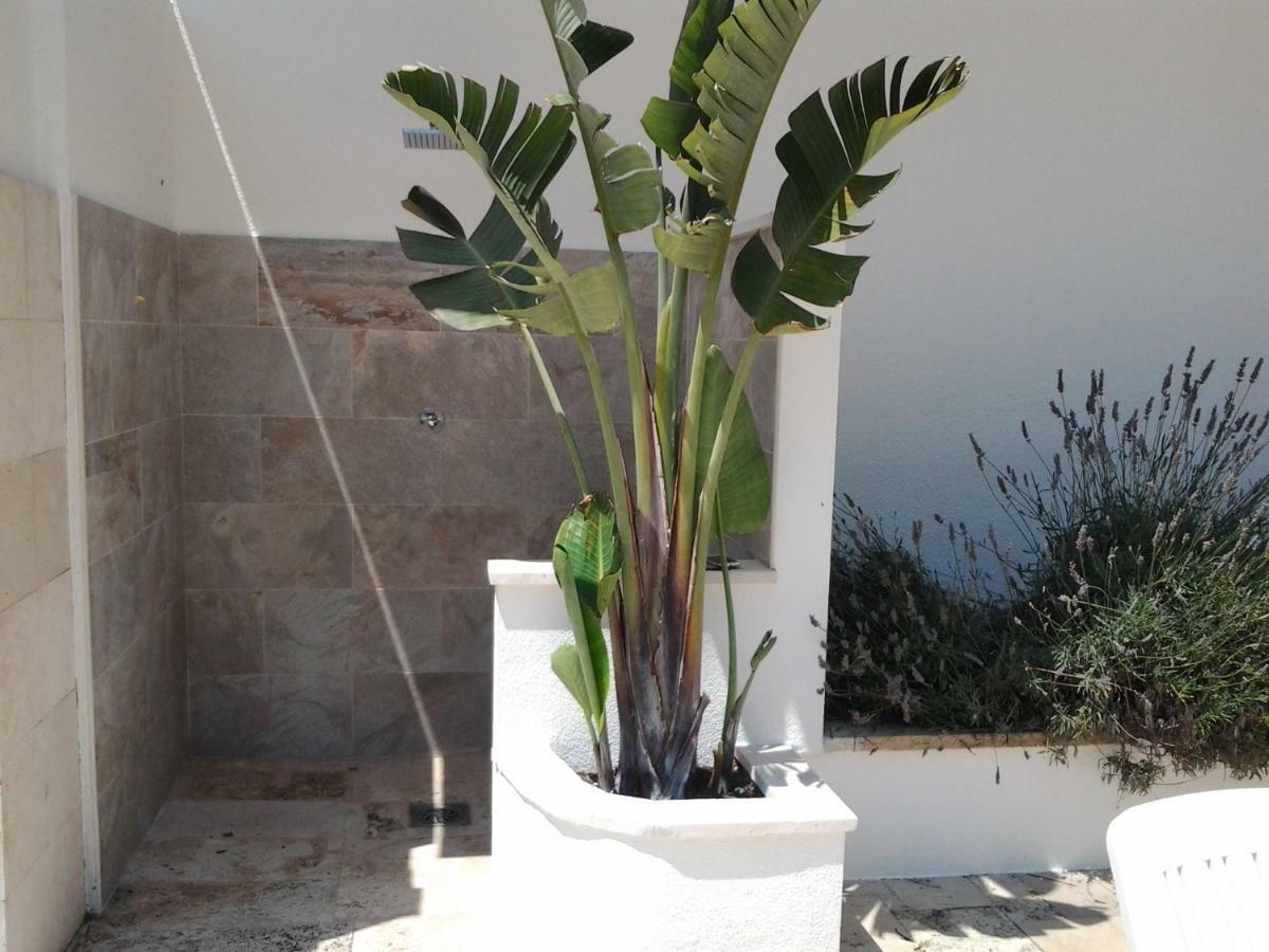 Apartamento Sol- Fanals Apartment Lloret de Mar Ngoại thất bức ảnh
